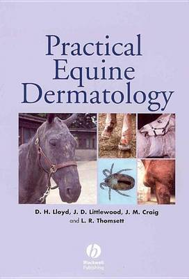 Book cover for Practical Equine Dermatology