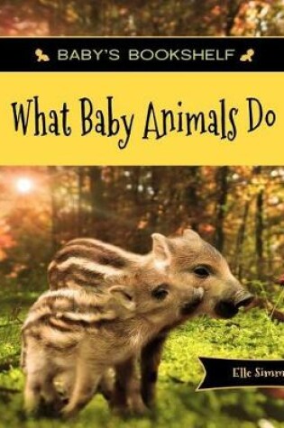 Cover of What Baby Animals Do