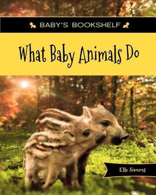 Book cover for What Baby Animals Do