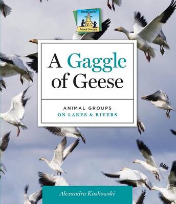 Book cover for Gaggle of Geese: : Animal Groups on Lakes & Rivers