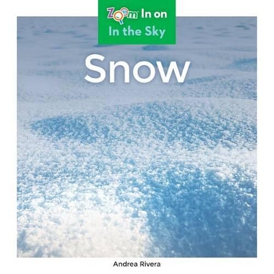 Book cover for Snow