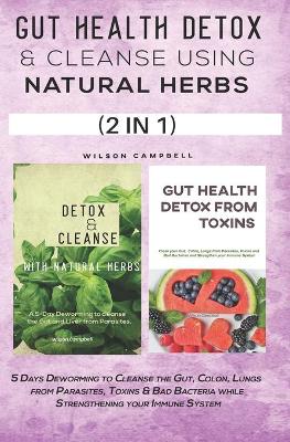 Book cover for Gut Health Detox and Cleanse Using Natural Herbs