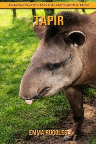 Cover of Tapir