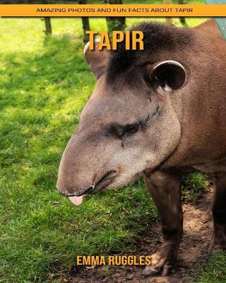 Cover of Tapir