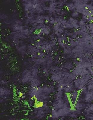 Book cover for V