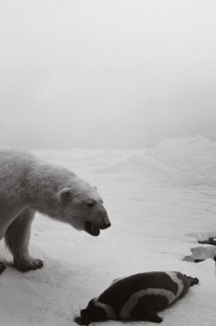 Cover of Hiroshi Sugimoto: Dioramas