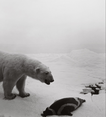 Book cover for Hiroshi Sugimoto: Dioramas