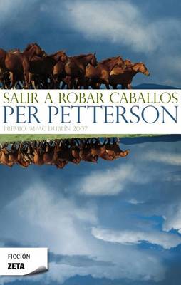 Book cover for Salir A Robar Caballos