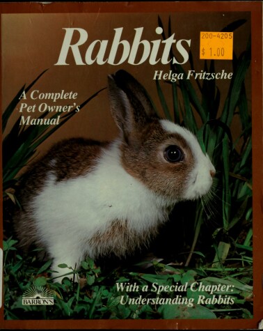 Book cover for Rabbits