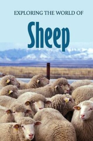 Cover of Exploring the World of Sheep