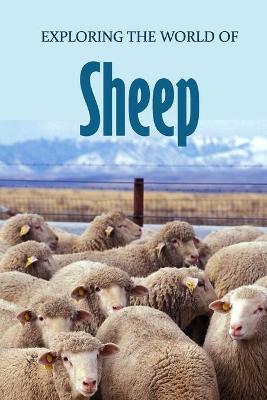 Book cover for Exploring the World of Sheep