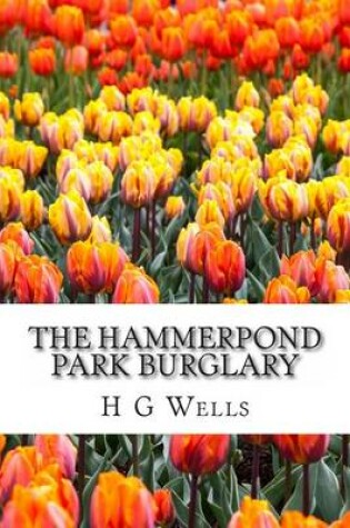 Cover of The Hammerpond Park Burglary