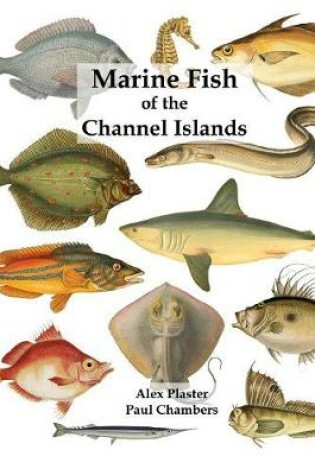 Cover of Marine Fish of the Channel Islands