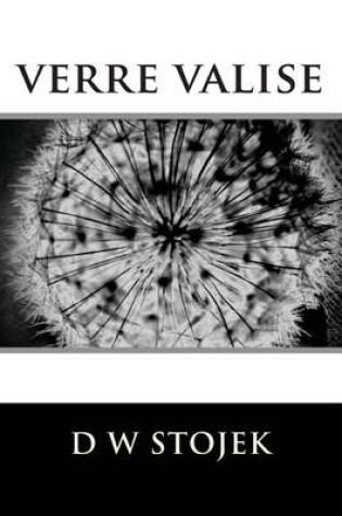 Cover of verre valise