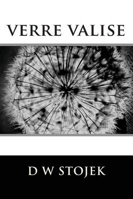 Book cover for verre valise