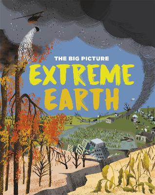 Book cover for The Big Picture: Extreme Earth
