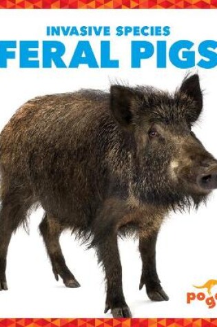 Cover of Feral Pigs