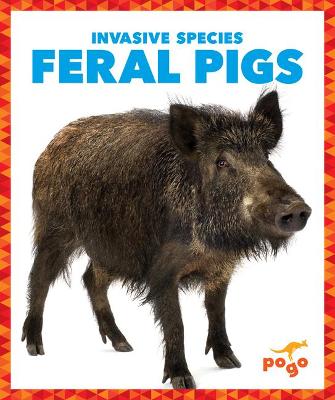 Book cover for Feral Pigs