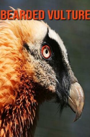 Cover of Bearded Vulture