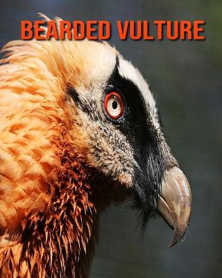 Book cover for Bearded Vulture