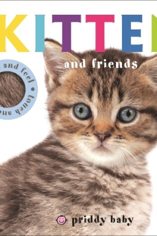 Cover of Touch & Feel: Kitten and Friends