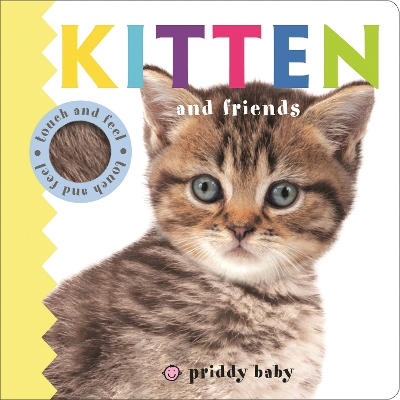 Book cover for Touch & Feel: Kitten and Friends