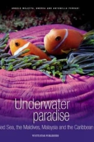 Cover of Underwater Paradise: Red Sea, the Maldives, Malaysia and the Caribbean