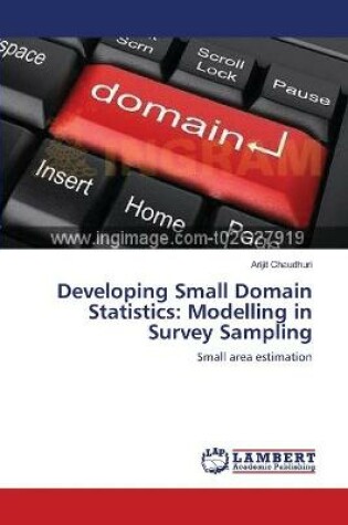 Cover of Developing Small Domain Statistics