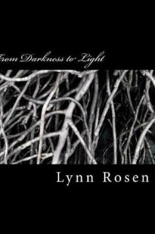 Cover of From Darkness to Light