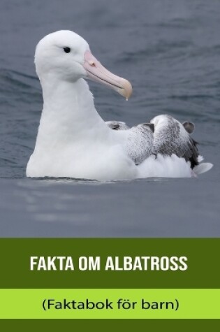 Cover of Fakta om Albatross (Faktabok för barn)