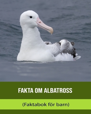 Book cover for Fakta om Albatross (Faktabok för barn)