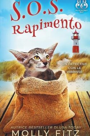 Cover of S.O.S. Rapimento