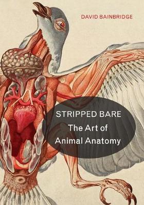 Book cover for Stripped Bare