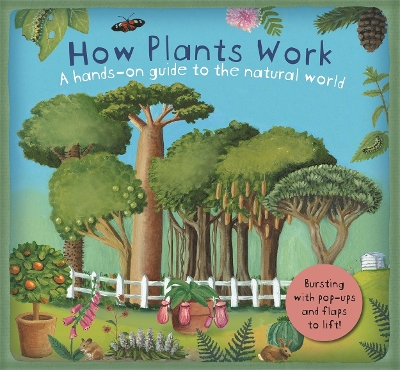 Book cover for How Plants Work