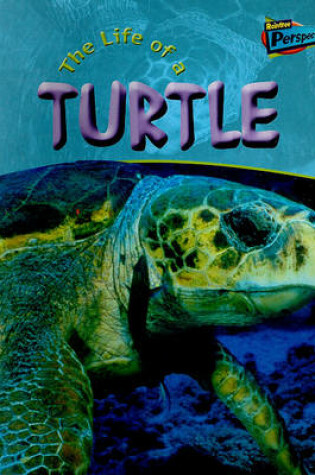 Cover of The Life of a Turtle