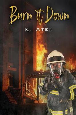 Book cover for Burn It Down