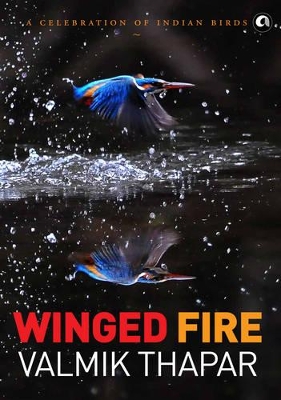 Book cover for Winged Fire: A Celebration of Indian Birds, Part 3 of The Indian Wildlife Trilogy