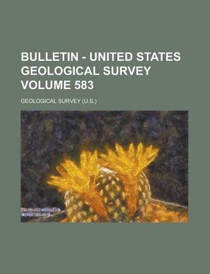 Book cover for Bulletin - United States Geological Survey Volume 583