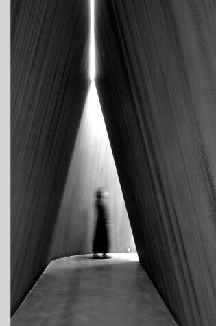 Cover of Richard Serra 2016