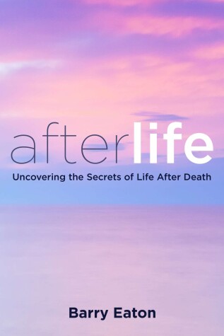 Book cover for Afterlife