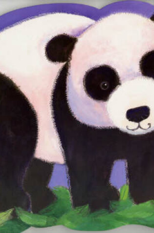 Cover of Big Wild Animals:Panda (BB)