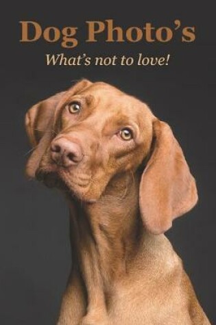 Cover of Dog Photo's What's not to love!