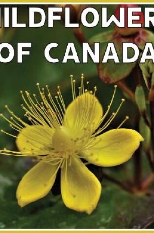 Cover of Wildflowers Of Canada Calendar 2021