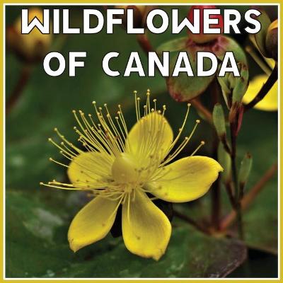 Book cover for Wildflowers Of Canada Calendar 2021