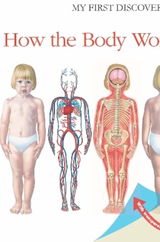 Cover of How the Body Works