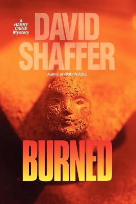 Book cover for Burned