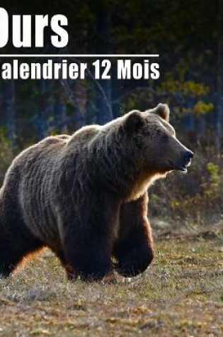 Cover of Calendrier 2021 Ours