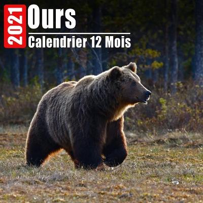 Book cover for Calendrier 2021 Ours