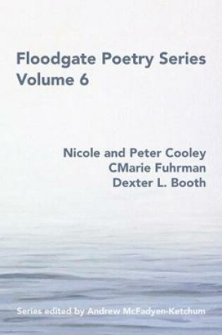 Cover of Floodgate Series Volume 6