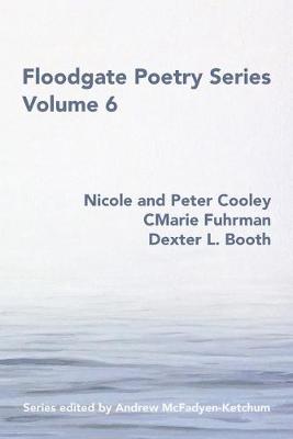 Book cover for Floodgate Series Volume 6